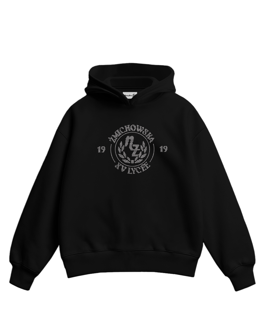 Bluza boxy XV LO Warszawa | Kryształki
