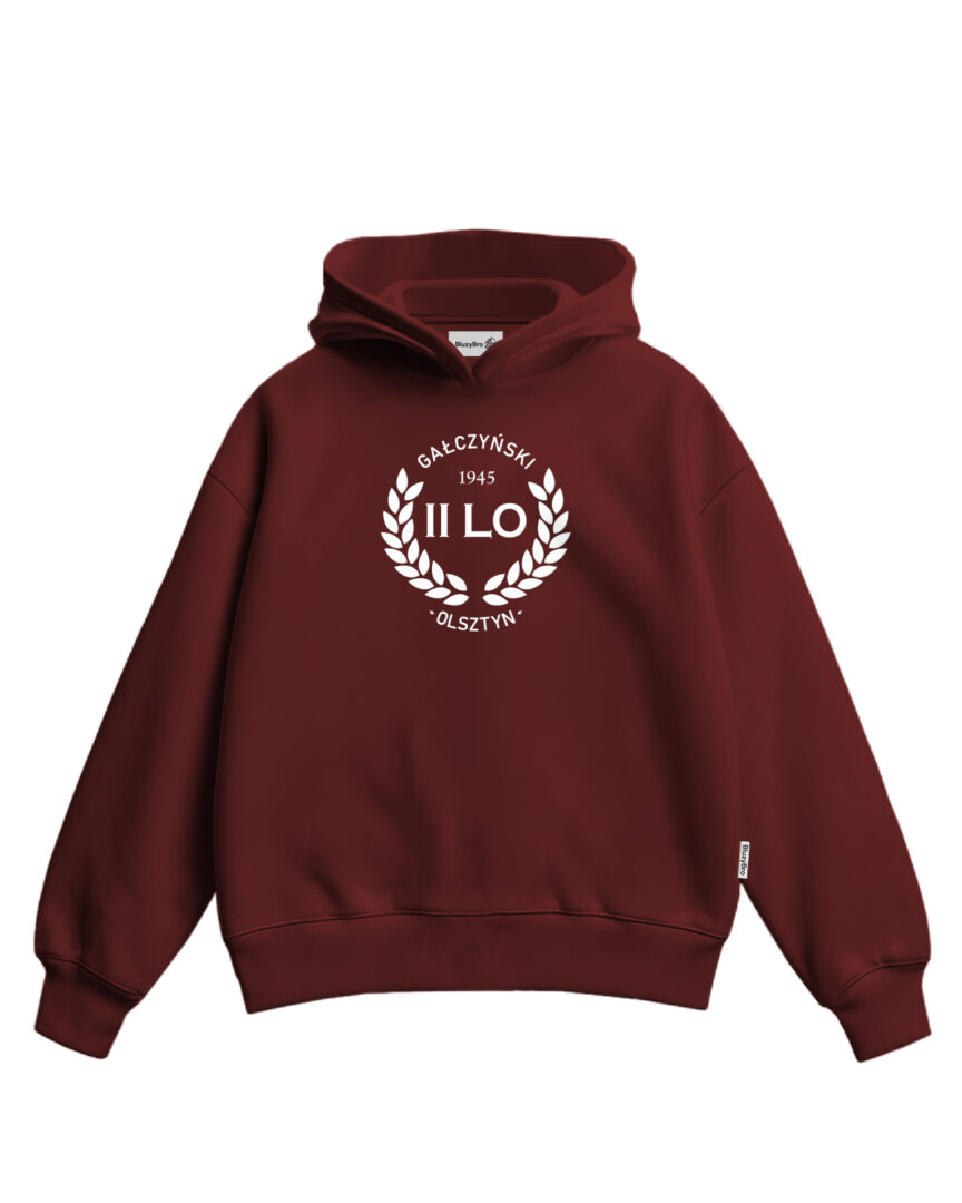 Bluza boxy 2 LO Olsztyn | Haft